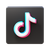TikTok Icon